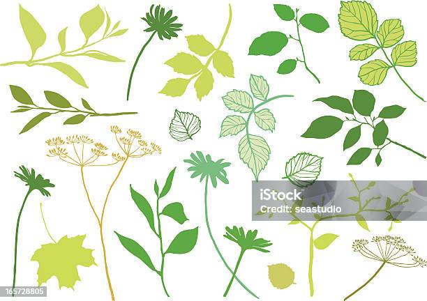 벡터 플로럴 요소 0명에 대한 스톡 벡터 아트 및 기타 이미지 - 0명, 계절, 꽃-식물