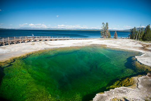 Black Pool Thermal Sits Close To The Edge of Yellowstone Lake in Summer