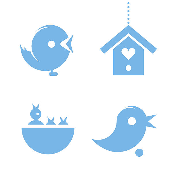 bird icons vector art illustration