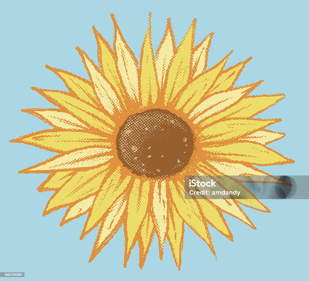 Il sole - arte vettoriale royalty-free di Girasole