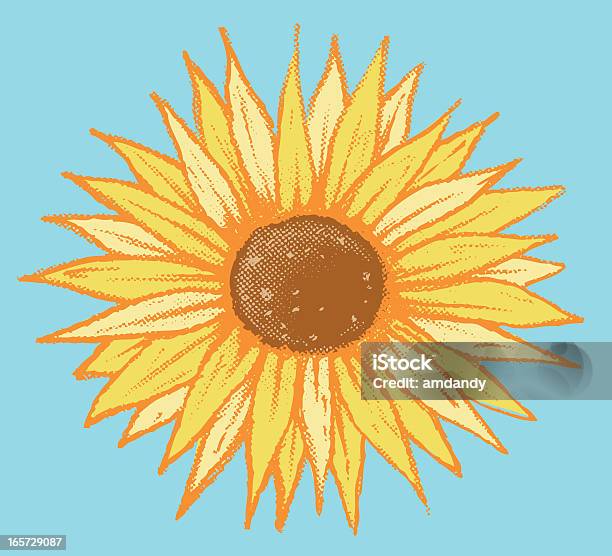 Il Sole - Immagini vettoriali stock e altre immagini di Girasole - Girasole, Schizzo, Arancione