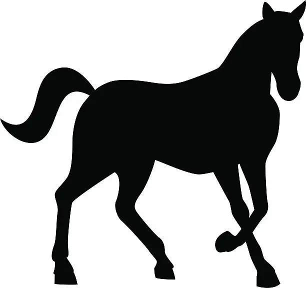 Vector illustration of horse silhouette