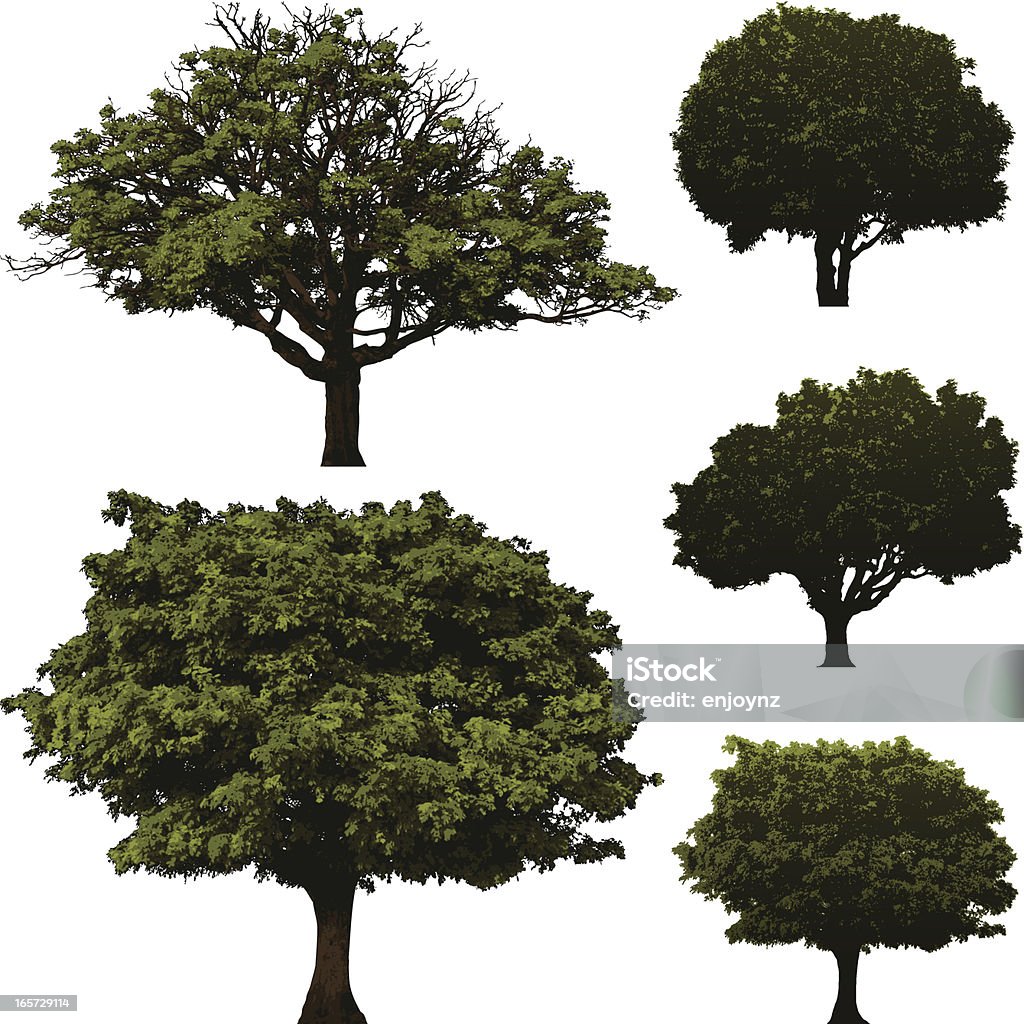 Drzewa - Grafika wektorowa royalty-free (Bez ludzi)