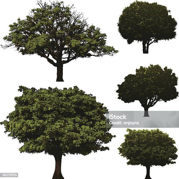 Drzewa - Stockowe grafiki wektorowe i więcej obrazów Bez ludzi - Bez ludzi, Białe tło, Drzewo