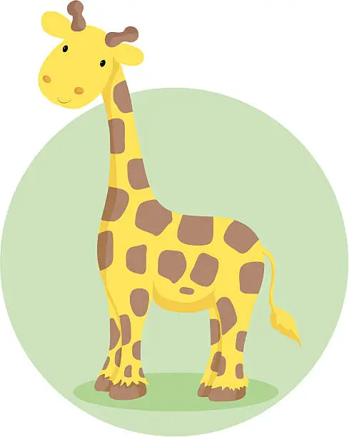 Vector illustration of Giraffe illustration