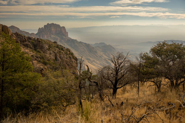 istock Casa Grande Peak Overlooks Canyon from Emory Peak Trail 1657292731