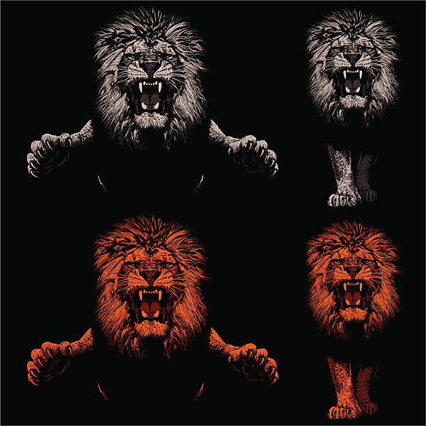 Threatening Lions - Light and Shadow Front view of lions leaping and approaching. Hand drawings - lights and shadows style. aggression illustrations stock illustrations
