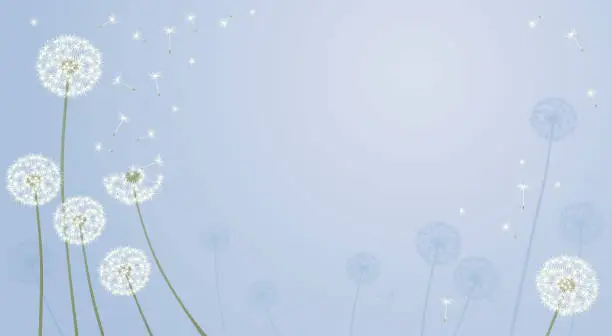 Vector illustration of Dandelions and sky background