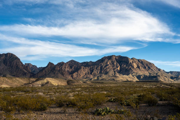 istock Cracks in the Chisos Mountains Rocks in Big Bend 1657296019