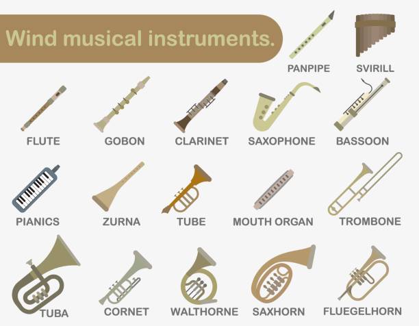 zestaw dętych instrumentów muzycznych. kolorowe instrumenty dęte z tytułem. - brass instrument stock illustrations