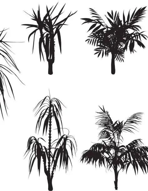 Vector illustration of Tropical Trees and flowers