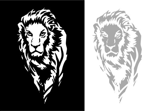 A strong illustration of lion. Bold lines.