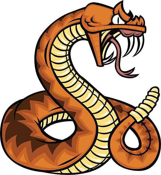 illustrazioni stock, clip art, cartoni animati e icone di tendenza di serpente a sonagli - snake rattlesnake poisonous organism fang