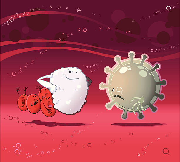 white blood cell, 백혈구 세포 및 바이러스 - wbc stock illustrations