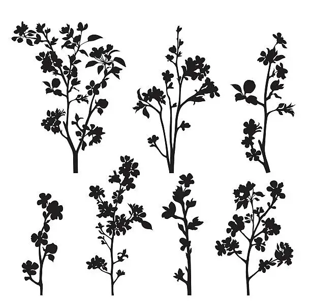 Vector illustration of Silhouettes of apple blossom branches on white background