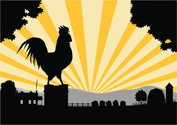 Vector illustration of Crowing Rooster in Farmyard