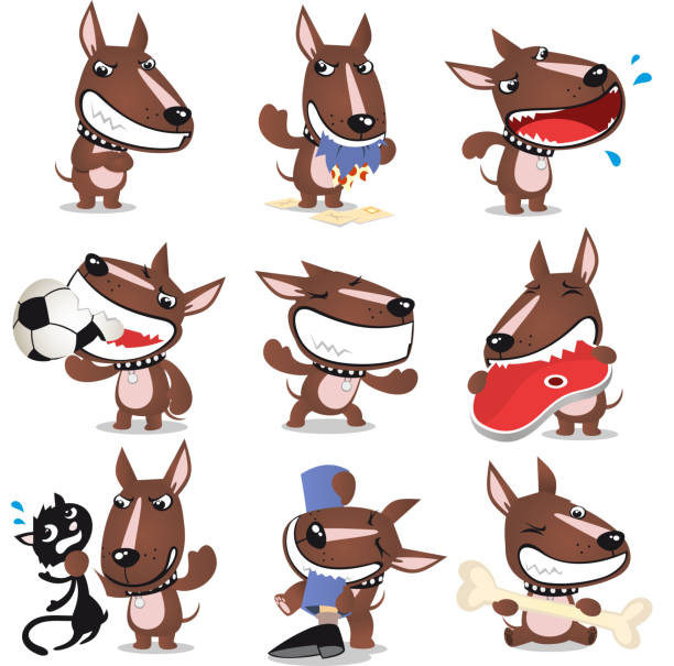 70 Dog And Cat Fight Illustrations & Clip Art - iStock