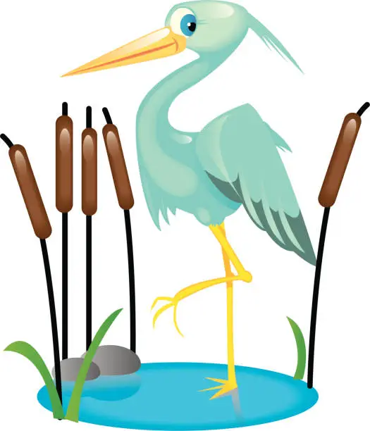 Vector illustration of heron