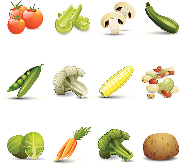 ikony warzyw - cauliflower white backgrounds isolated stock illustrations