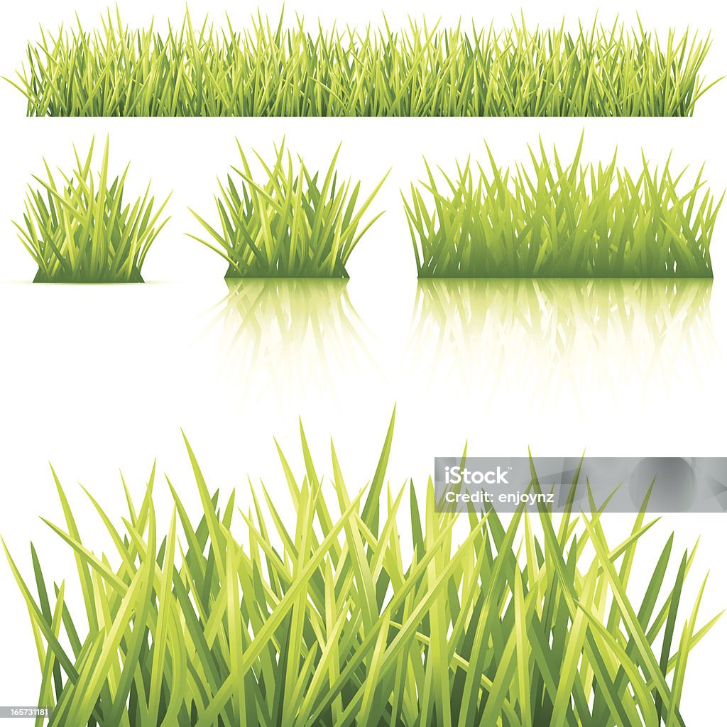 Soczyście zieloną trawą - Grafika wektorowa royalty-free (Bez ludzi)
