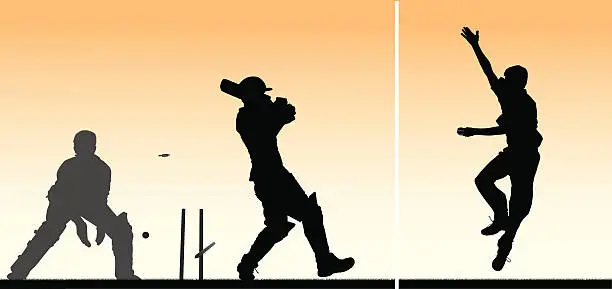 Vector illustration of Cricket montage with 3 players