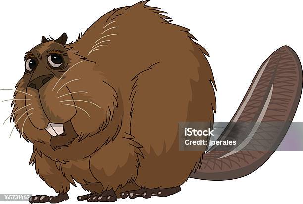 Beaver Stock Illustration - Download Image Now - Beaver, Cartoon, Animal