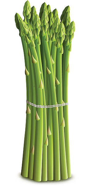 ilustraciones, imágenes clip art, dibujos animados e iconos de stock de espárragos paquete - asparagus