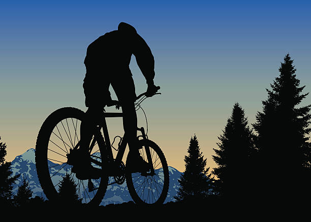 해질녘까지 산악 자전거 타기 세계 정상에 - mountain biking mountain bike bicycle cycling stock illustrations