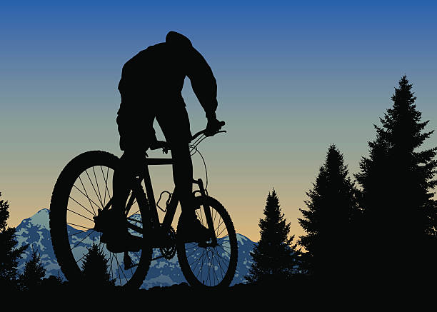 закат горном велосипеде на верху мира - mountain biking mountain bike bicycle cycling stock illustrations