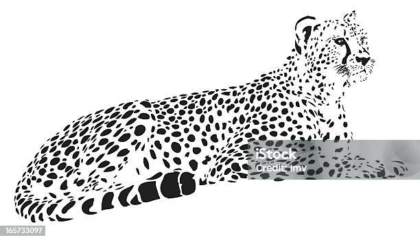 Vetores de Cheetah Vetor e mais imagens de Chita - Chita, Ilustração e Pintura, Animais de Safári