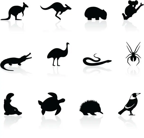 Vector illustration of Australian animal icons