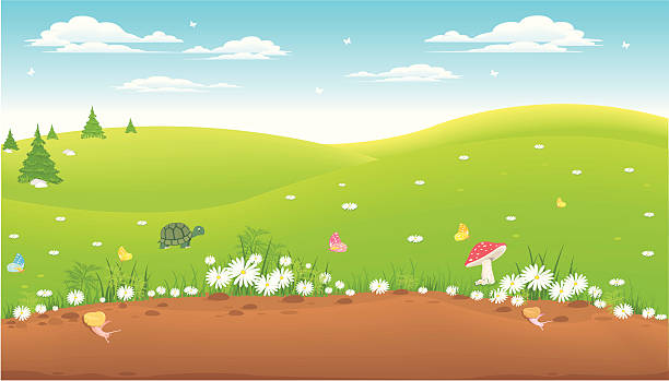 illustrations, cliparts, dessins animés et icônes de paysage - spring grass cloud butterfly