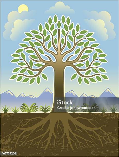 Simol Tree Root Simplified Tree And Roots Stock Illustration - Download Image Now ...
