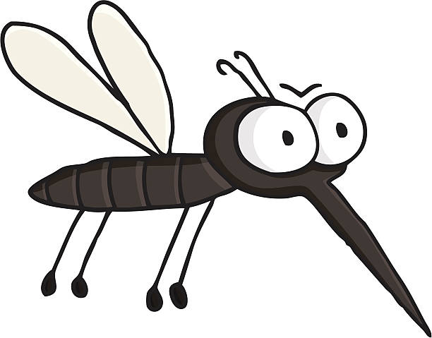 cartoon flying mosquito / vermin - insect vector drawing of a flying mosquito isolated on white background midye stock illustrations