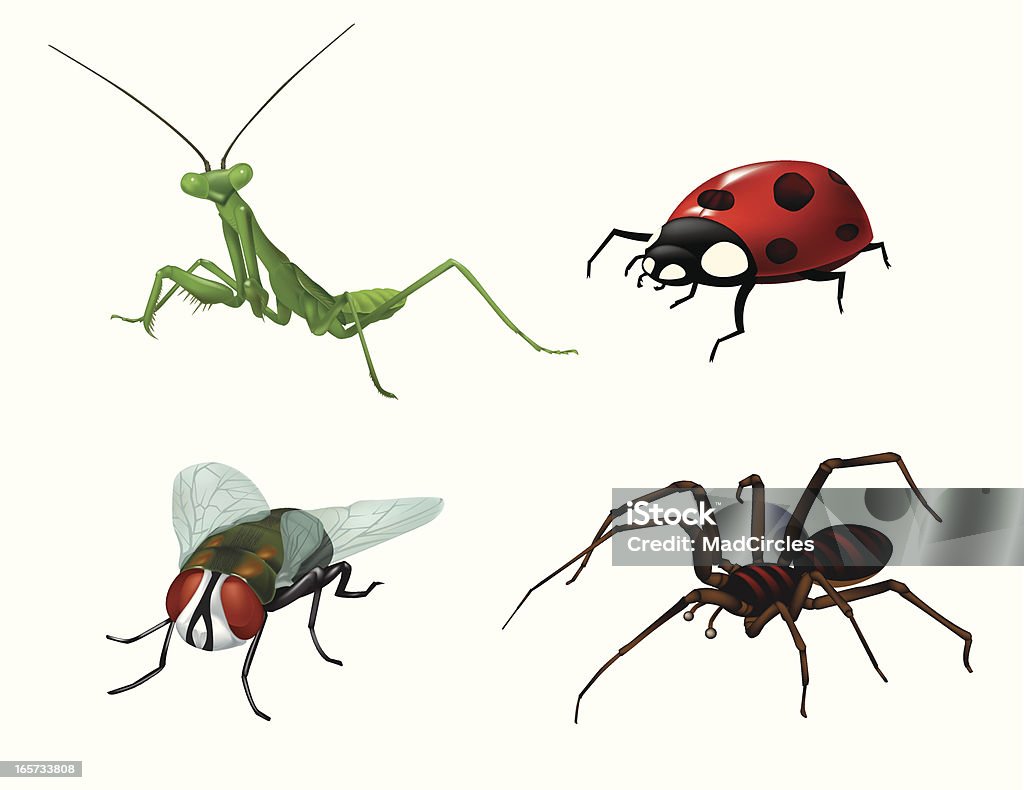 Bugs et insectes - clipart vectoriel de Mante religieuse libre de droits