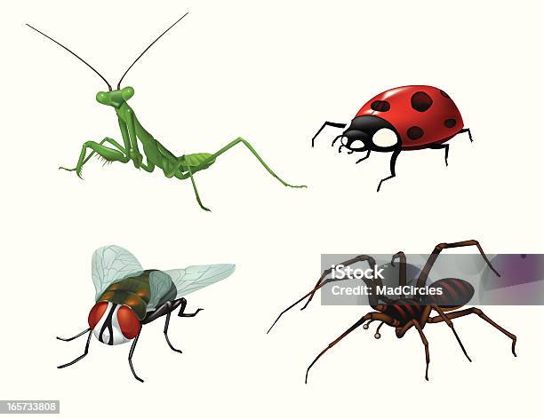 Bugs Et Insectes Vecteurs libres de droits et plus d'images vectorielles de Mante religieuse - Mante religieuse, Mouche, Vectoriel