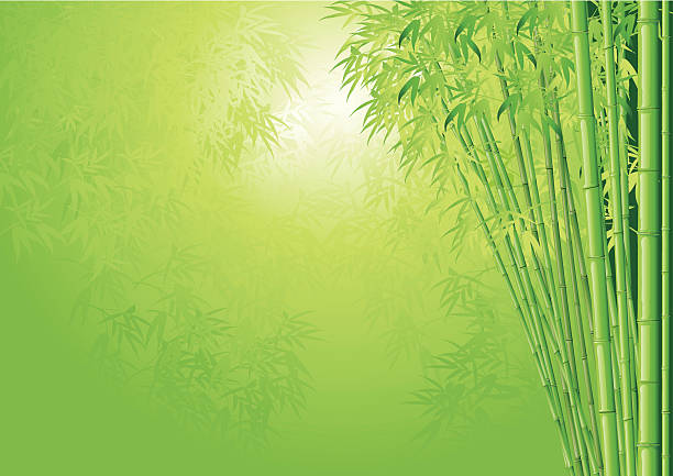 bamboo background Asian Bamboo composition as a vector file. bamboo background stock illustrations