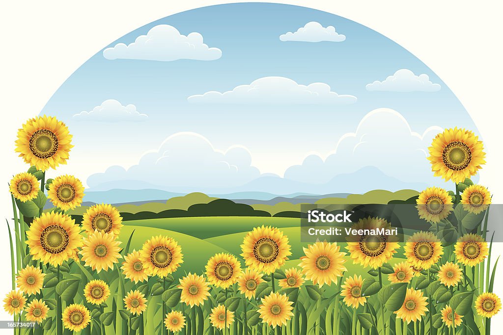 Girasol paisaje. - arte vectorial de Girasol libre de derechos