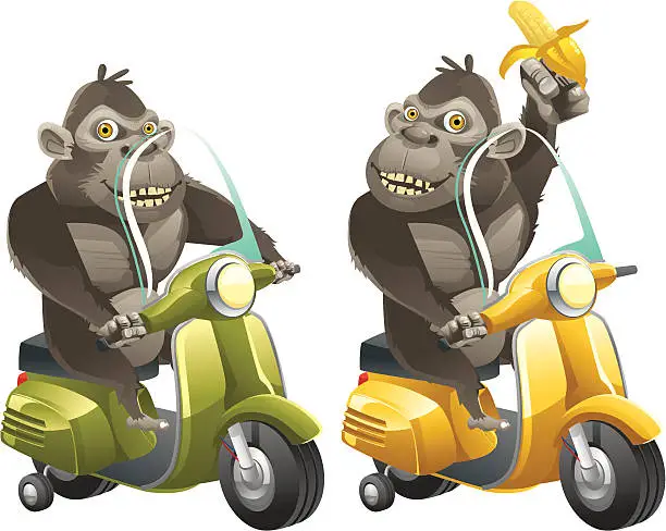 Vector illustration of Apes riding