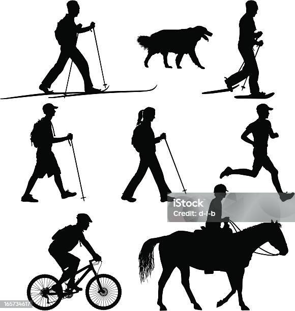 Multiuse Trail Users Hike Bike Run Ski Horse Stock Illustration - Download Image Now - Hiking, Cross-Country Skiing, Cycling