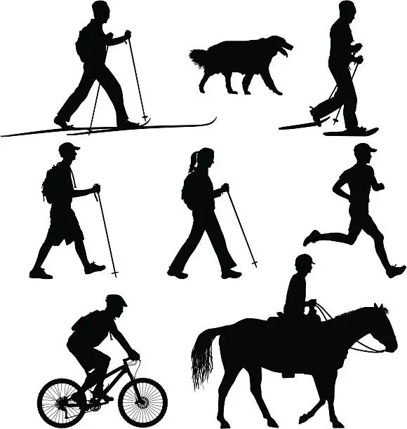 Vector illustration of Multi-use Trail Users - Hike Bike Run Ski Horse