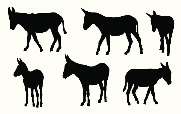 Vector illustration of Donkeys Vector Silhouette