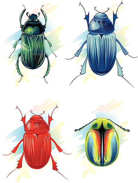 Beautiful metallic beetles 4 shiny, colorful beetles on white. long horn beetle stock illustrations