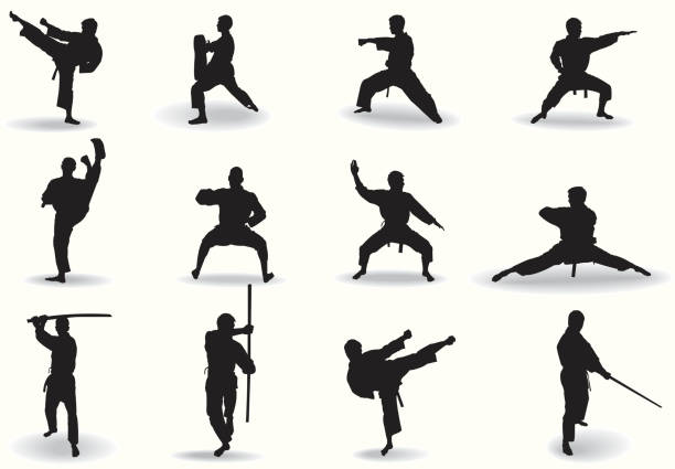 ilustrações de stock, clip art, desenhos animados e ícones de exercício marciais - karate kickboxing martial arts silhouette