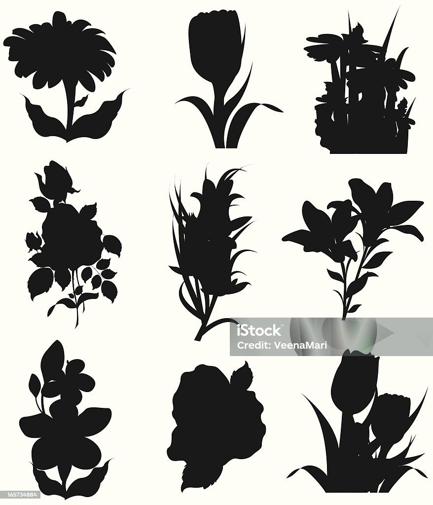 Frühling-Blumen-Silhouette - Lizenzfrei Gerbera Vektorgrafik
