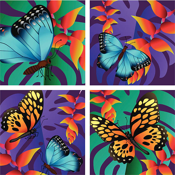 illustrazioni stock, clip art, cartoni animati e icone di tendenza di farfalle tropicale - papilio zagreus