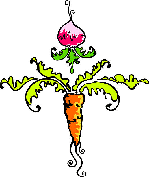 Ozdobny veggies-Rzodkiewka i marchewki – artystyczna grafika wektorowa