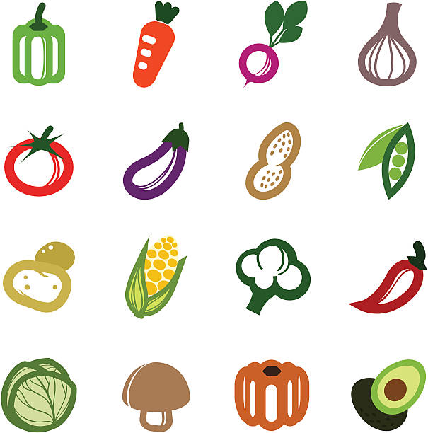 ilustraciones, imágenes clip art, dibujos animados e iconos de stock de icono conjunto de verduras - bean avocado radish nut