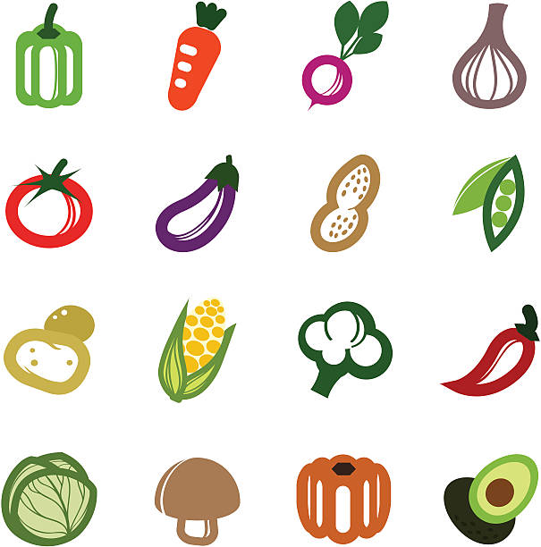 овощной набор иконок - bean avocado radish nut stock illustrations