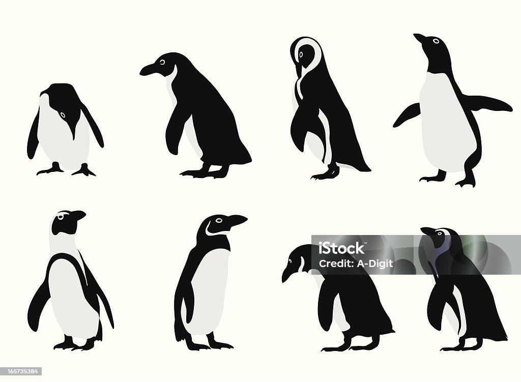 Penguins Vector Silhouette A-Digit Penguin stock vector